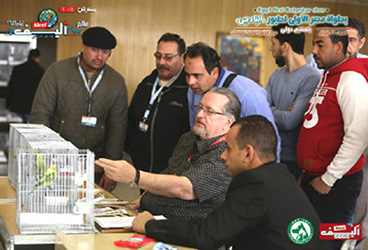 Judging In Cairo