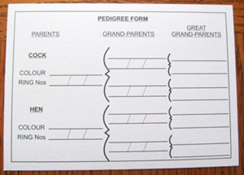 Pedigree Card